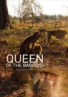 Королева бабуинов (2015) Смотреть онлайн