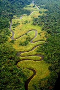 Дикая река Конго: Река чудовищ (2013) Смотреть онлайн