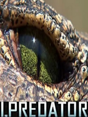Нильский Крокодил (2010) Смотреть онлайн