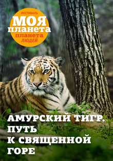 Амурский тигр. Путь к священной горе (2016) Смотреть онлайн