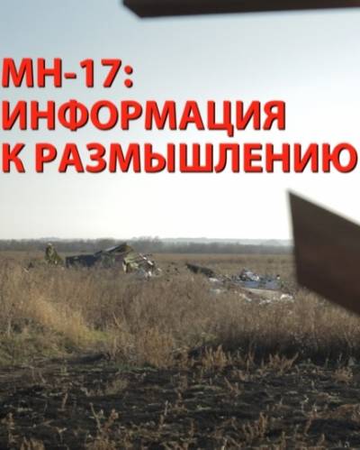 MH-17: информация к размышлению (2015) Онлайн бесплатно